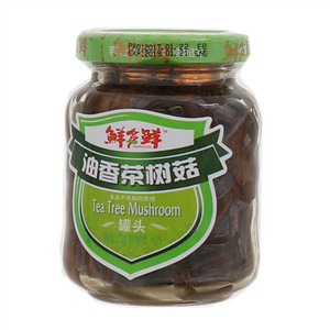 鲜多鲜油香茶树菇罐头