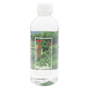 恐龙时代饮用山泉水380mL
