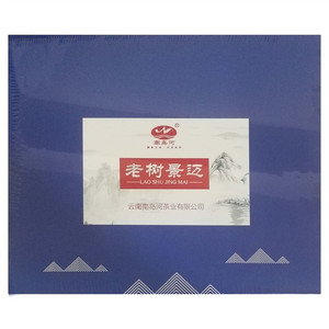 南岛河老树景迈