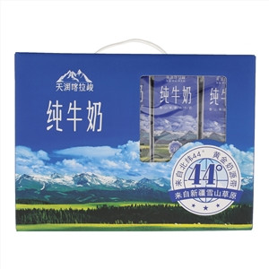 TERUN天润纯牛奶