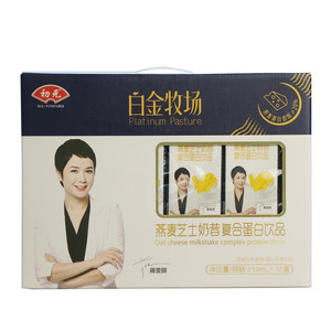 初元燕麦芝士奶昔复合蛋白饮品