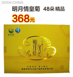 明月情皇菊