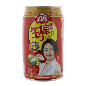 椰子汁植物蛋白饮料（果肉型）