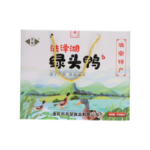 苏楚洪泽湖绿头鸭