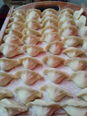 玖韵泽猪肉韭菜水饺