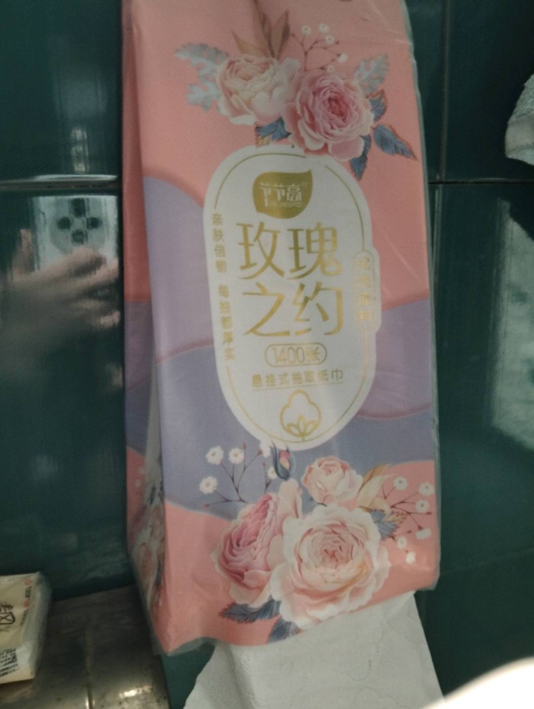 节节高花语挂抽
