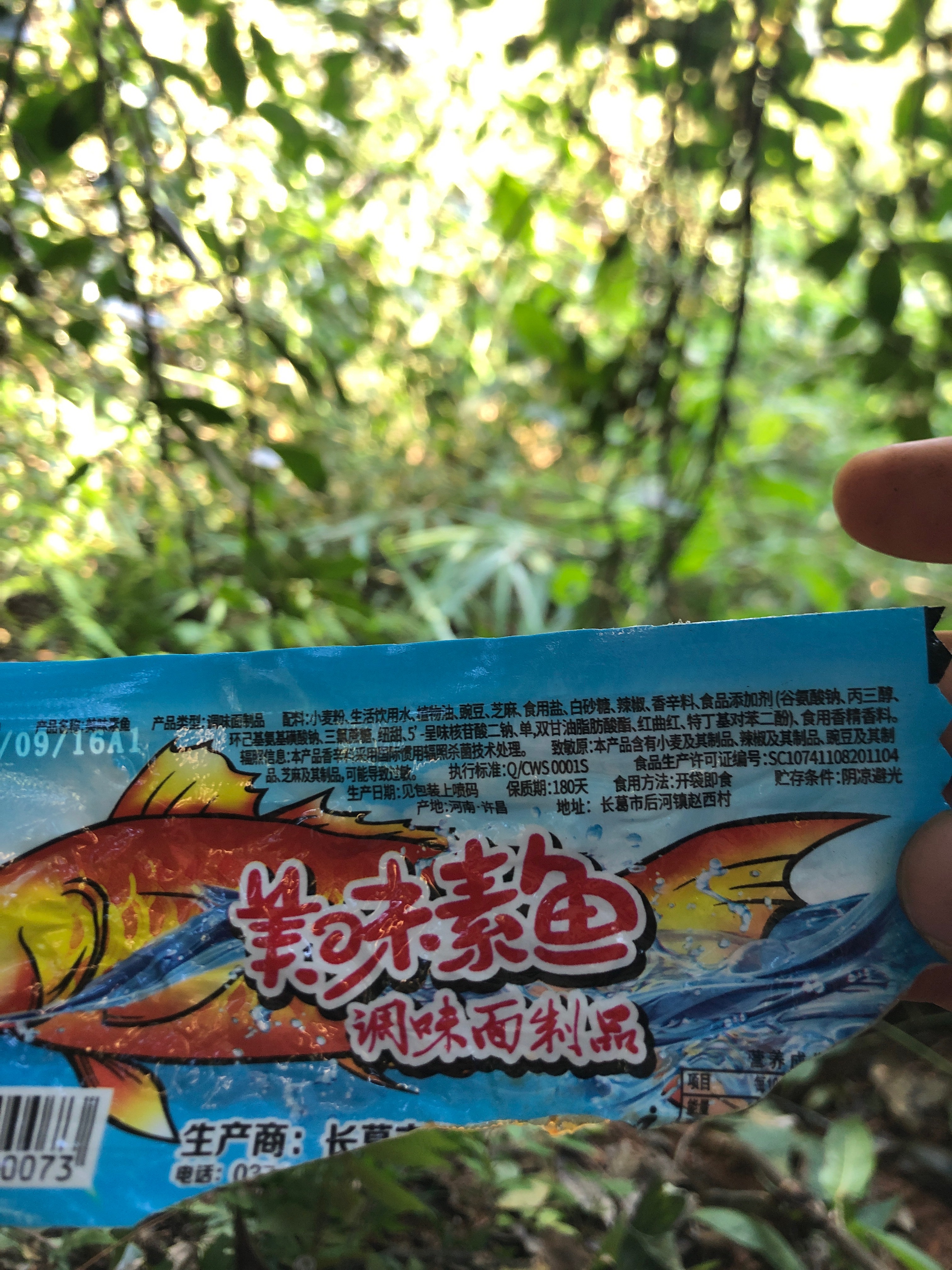 远征美味素鱼
