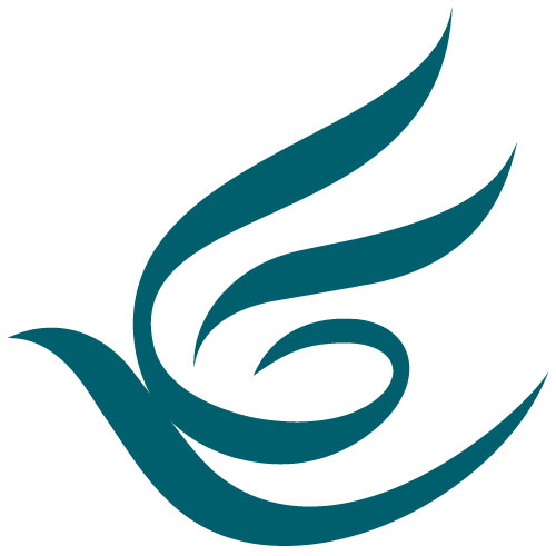 亮妆珍珠嫩白保湿霜50g