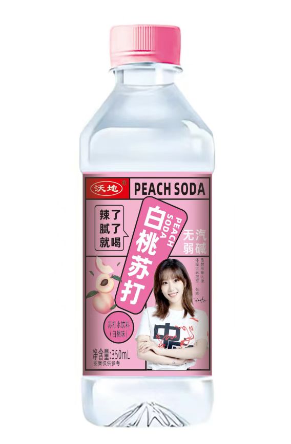 诺雅士苏打水箱