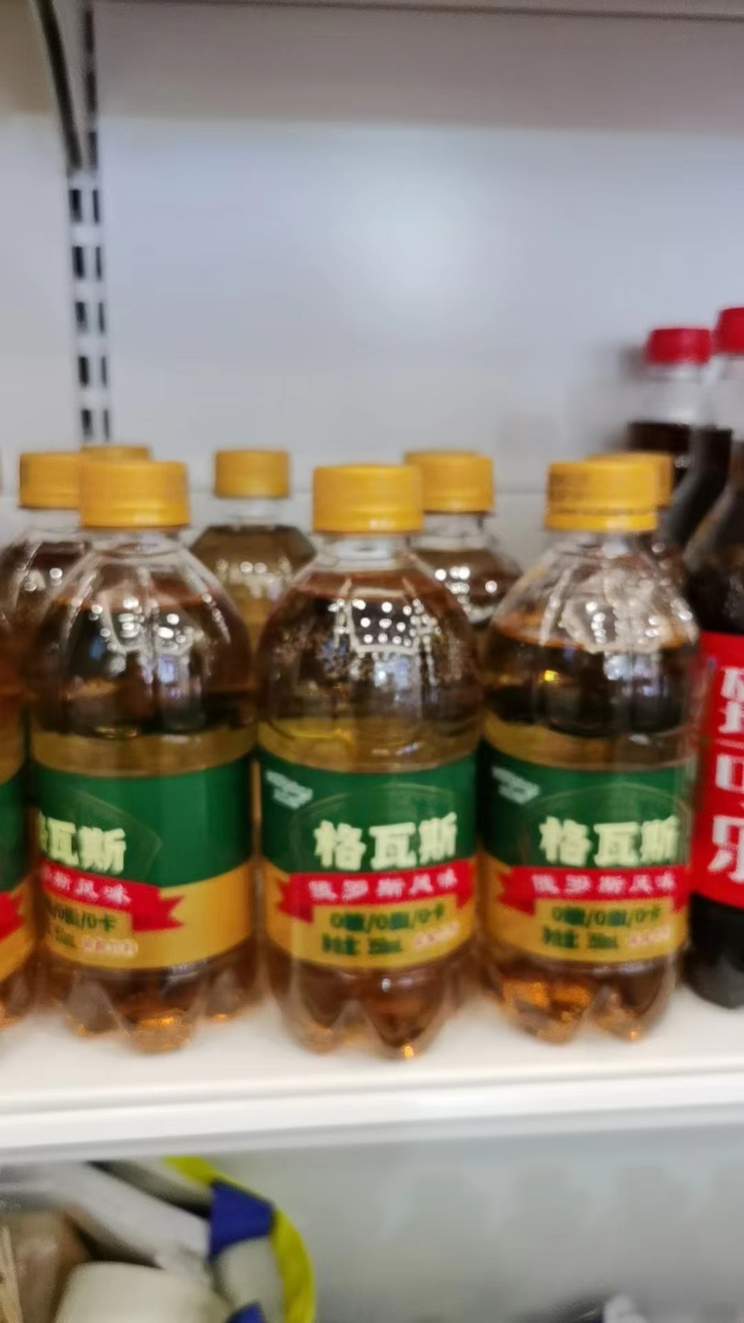 格瓦斯