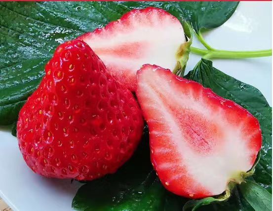 今爽葡萄果粒果汁饮料