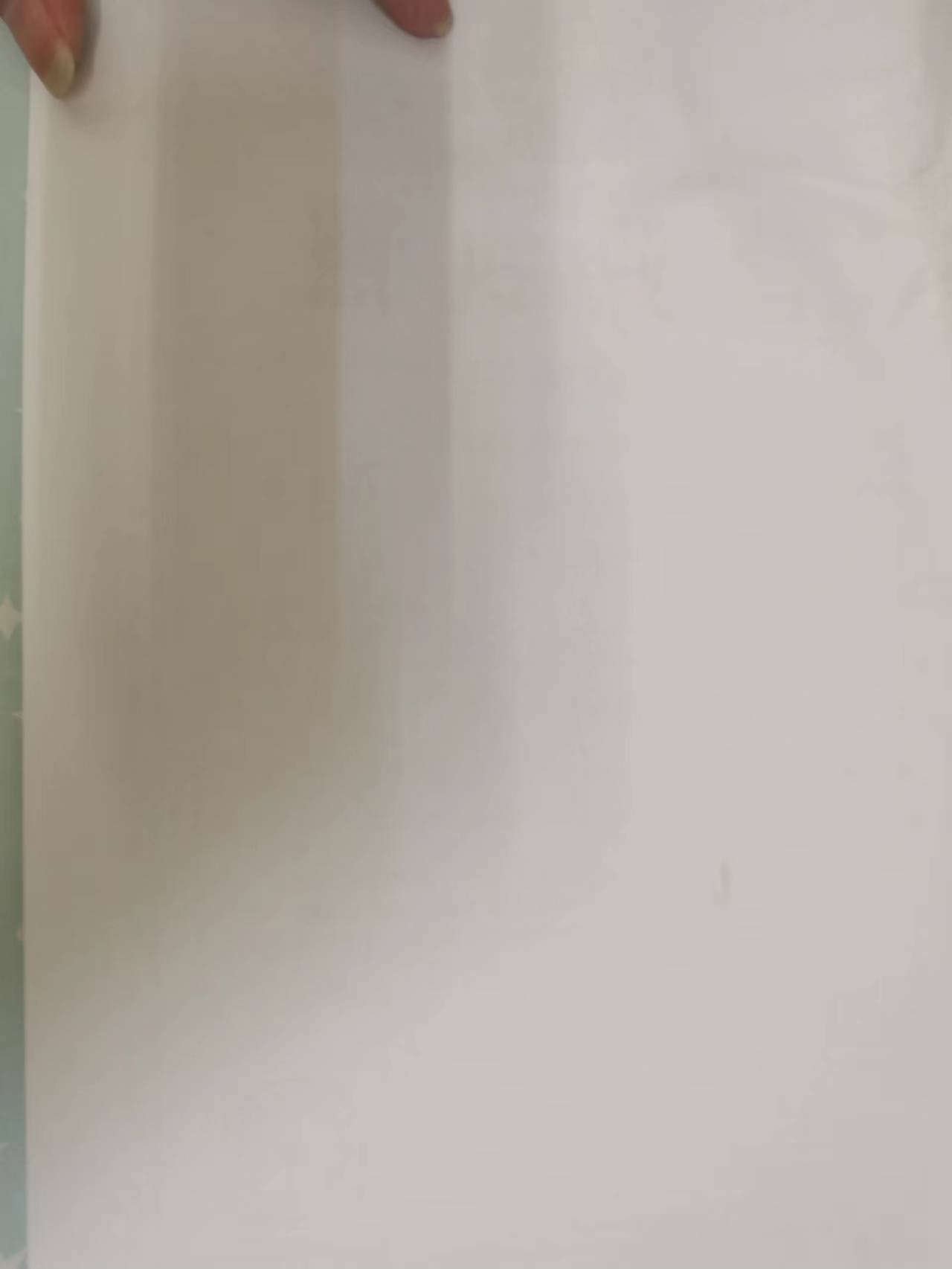 烤鱼片