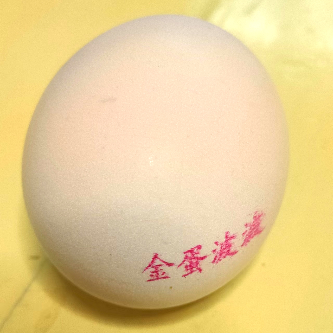 金蛋波波五谷三黄蛋