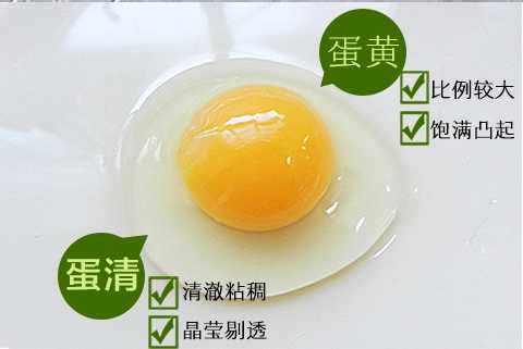 农家散养谷物蛋