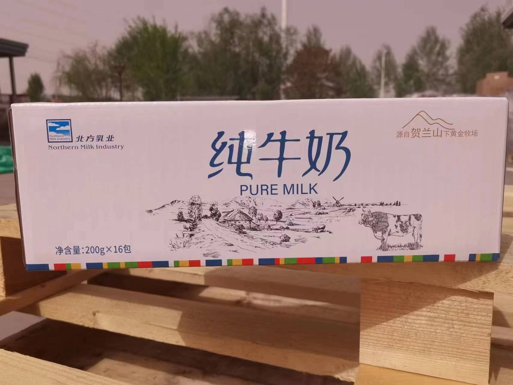 北方乳业黄金牧场利乐枕纯牛奶200mL