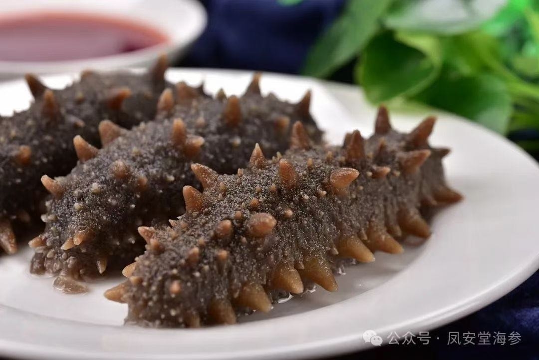 凤安堂 鲜食 即食海参