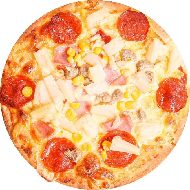 世扬之星9英寸速冻披萨