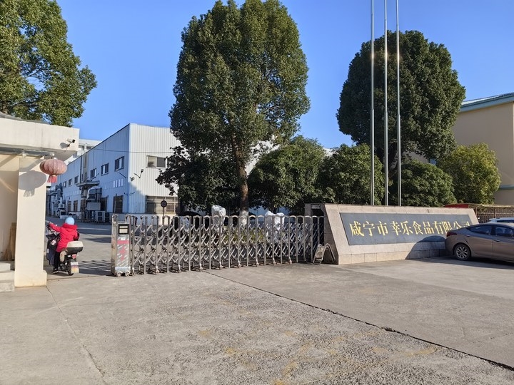 丹麦椰蓉红豆面包