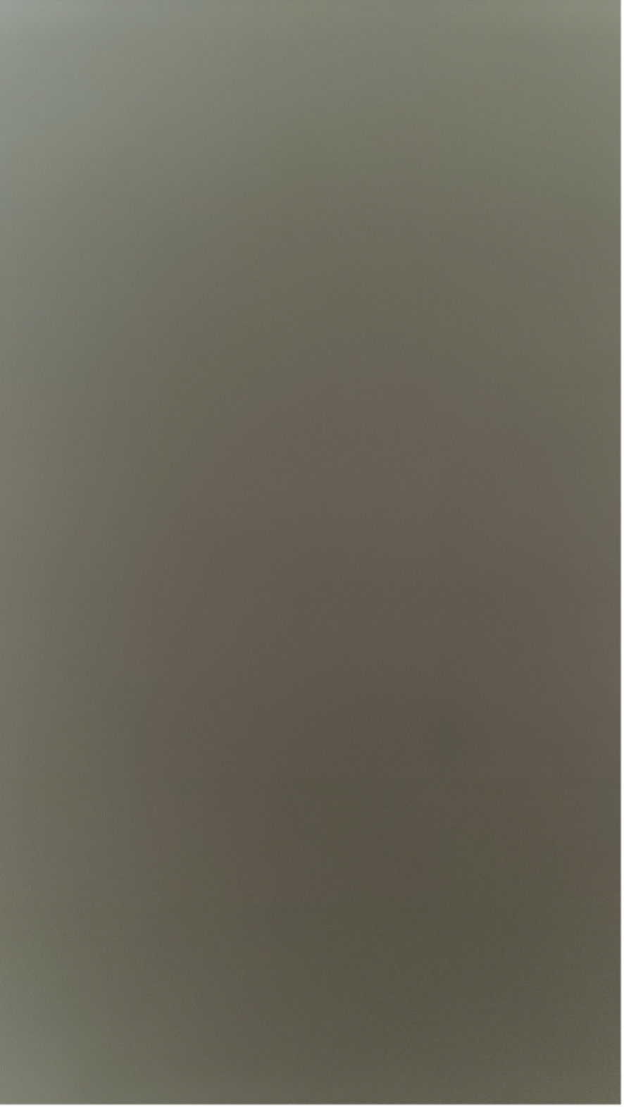 （芝饗芋见泥）芋泥麻薯饭团形面包